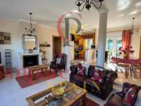 Vente - Villa - Orba Valley - Urbanización