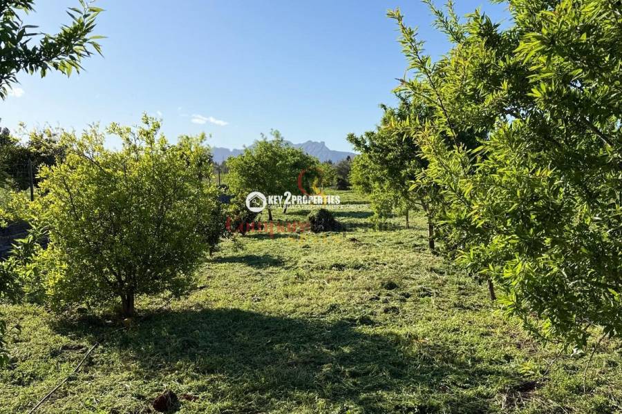 Verkauf - Plot - Dénia - Denia