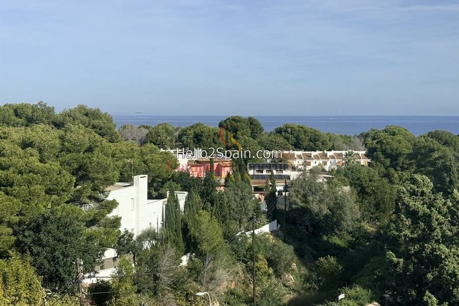 Verkoop - Apartment - Dénia