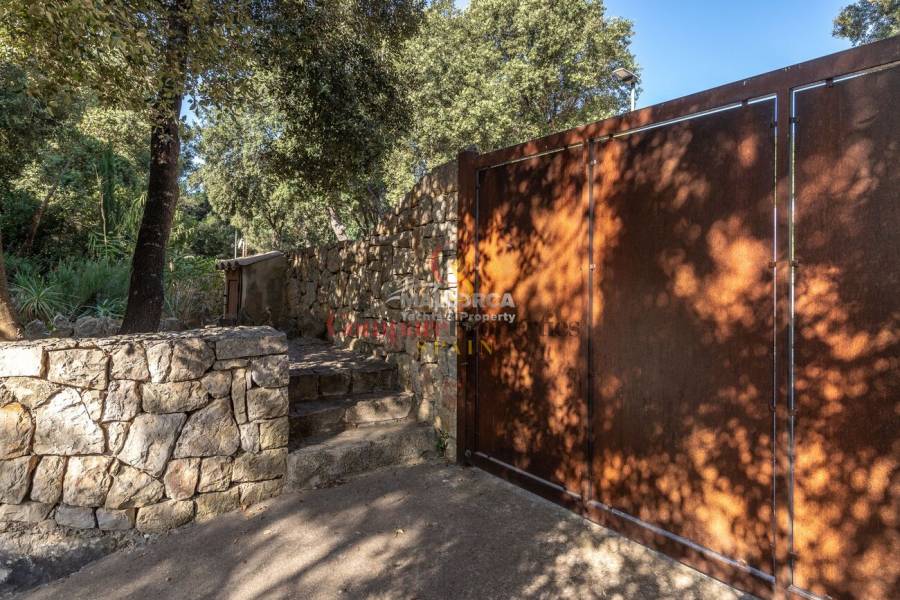 Vente - Apartment - Sa Pobla - Mallorca