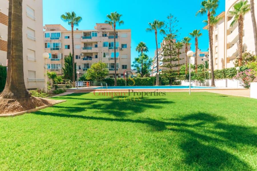 Verkoop - Apartment - Albir - Centro