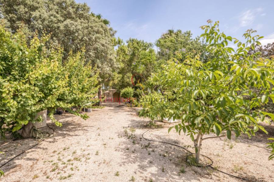 Vente - Villa - Dénia - La Jara