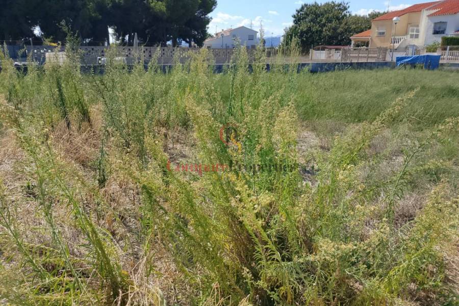 Sale - Apartment - Miramar - 