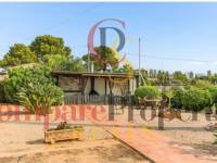 Verkoop - Villa - Dénia - LA XARA (la jara) Denia