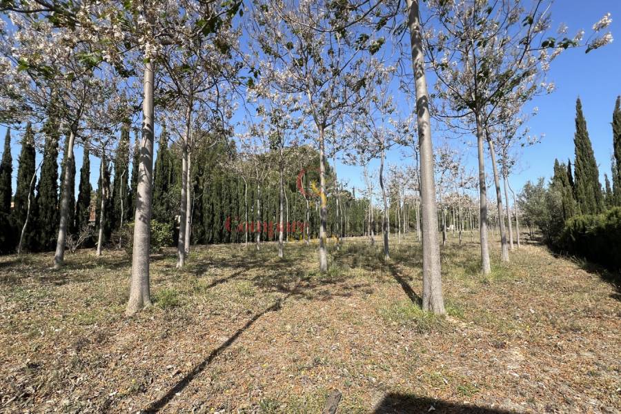 Venta - Villa - Pedreguer