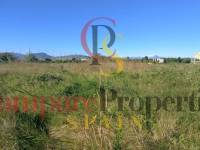 Sale - Apartment - Oliva - 
