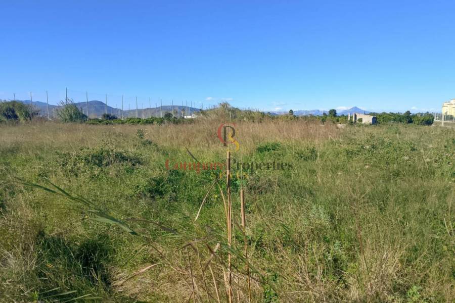 Sale - Apartment - Oliva - 