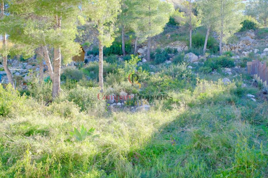 Sale - Villa - Pedreguer - 