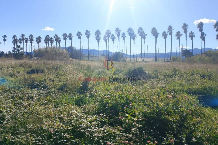 Sale - Apartment - Oliva - 