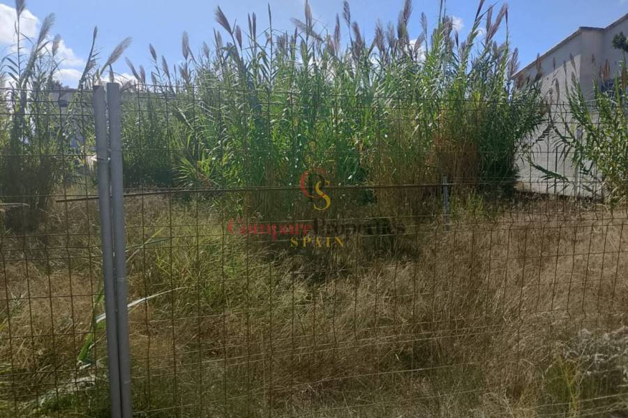 Sale - Apartment - Daimús - 