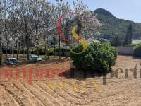 Venta - Villa - Pedreguer