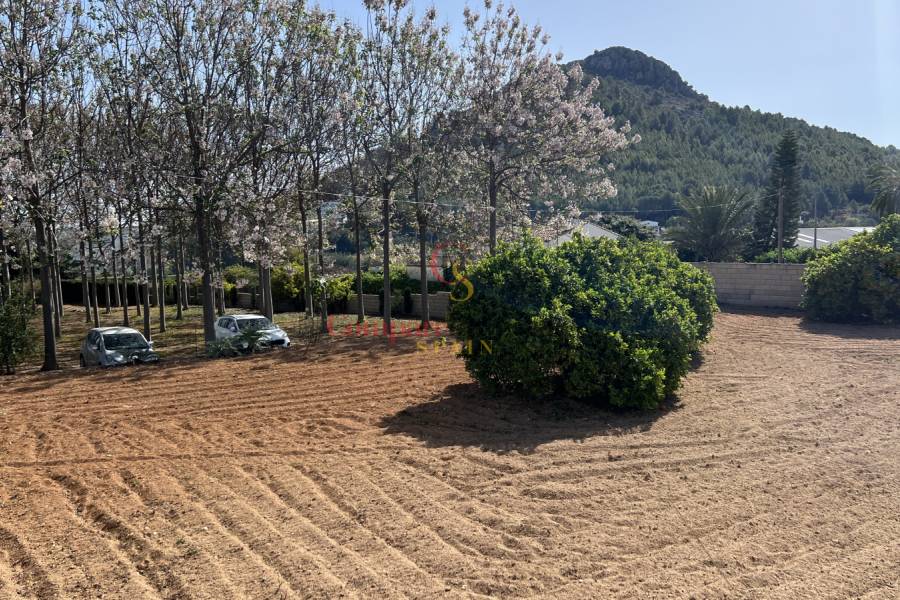 Venta - Villa - Pedreguer