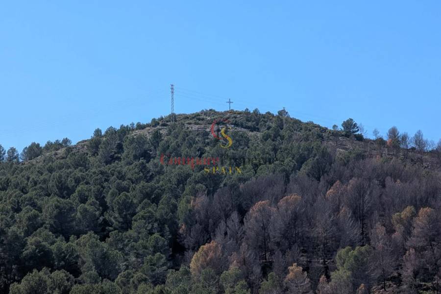 Venta - Townhouses - Oliva