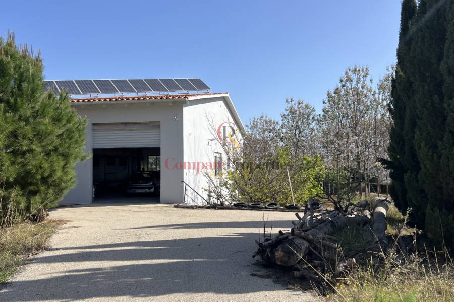 Venta - Villa - Pedreguer