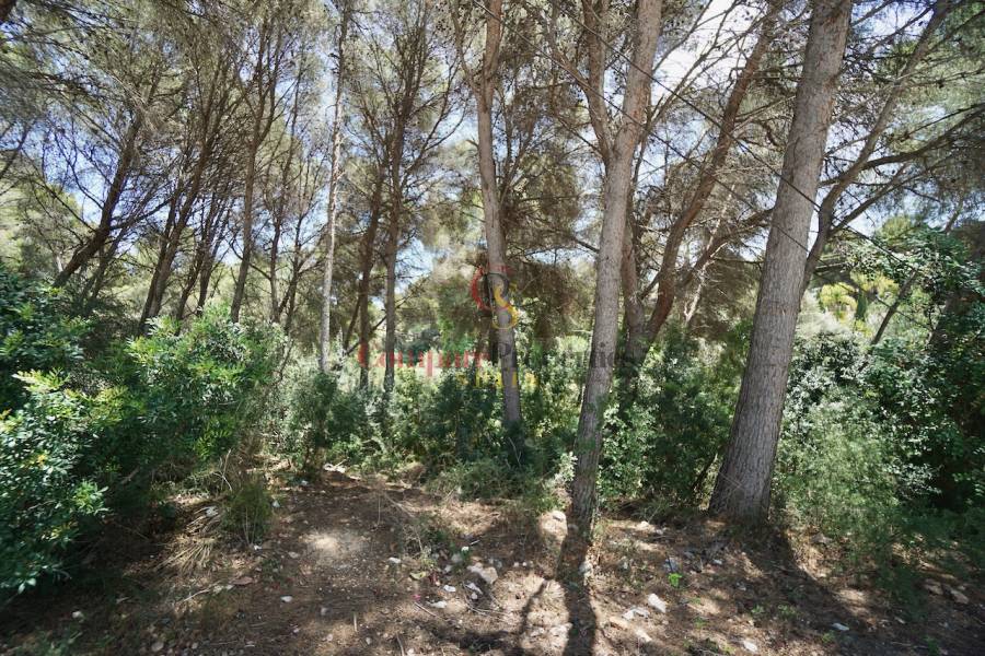 Sale - Plot - Moraira - La Cometa