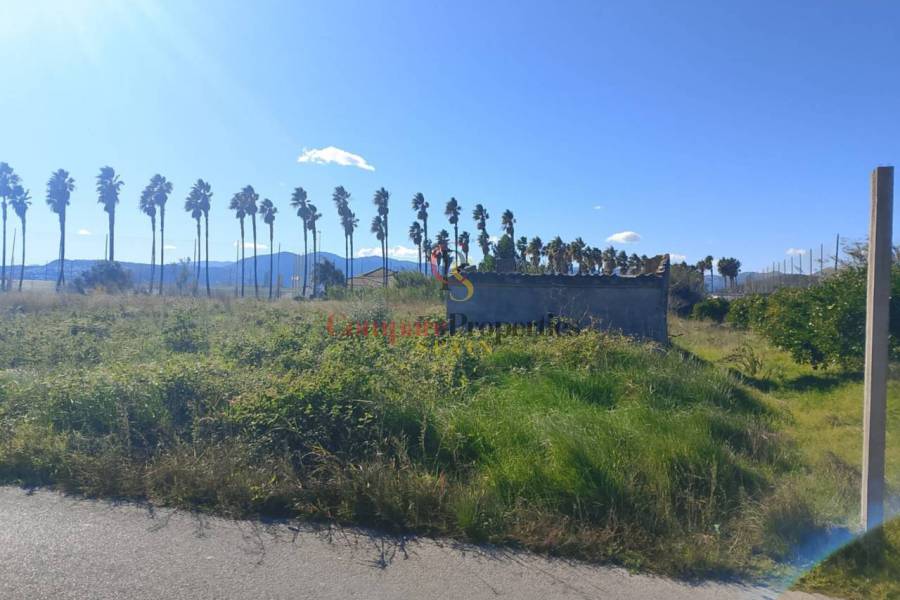 Sale - Apartment - Oliva - 