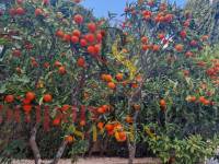 Sale - Villa - Benitachell - 