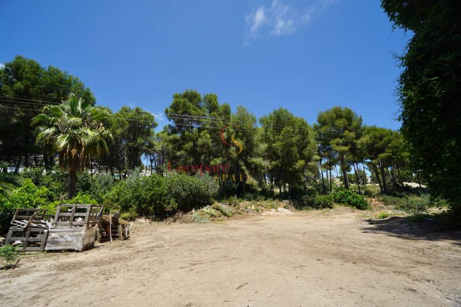 Sale - Plot - Moraira - La Cometa