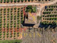 Sale - Villa - Dénia