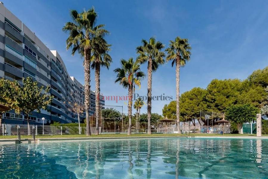 Verkauf - Apartment - El Campello - Playa muchavista