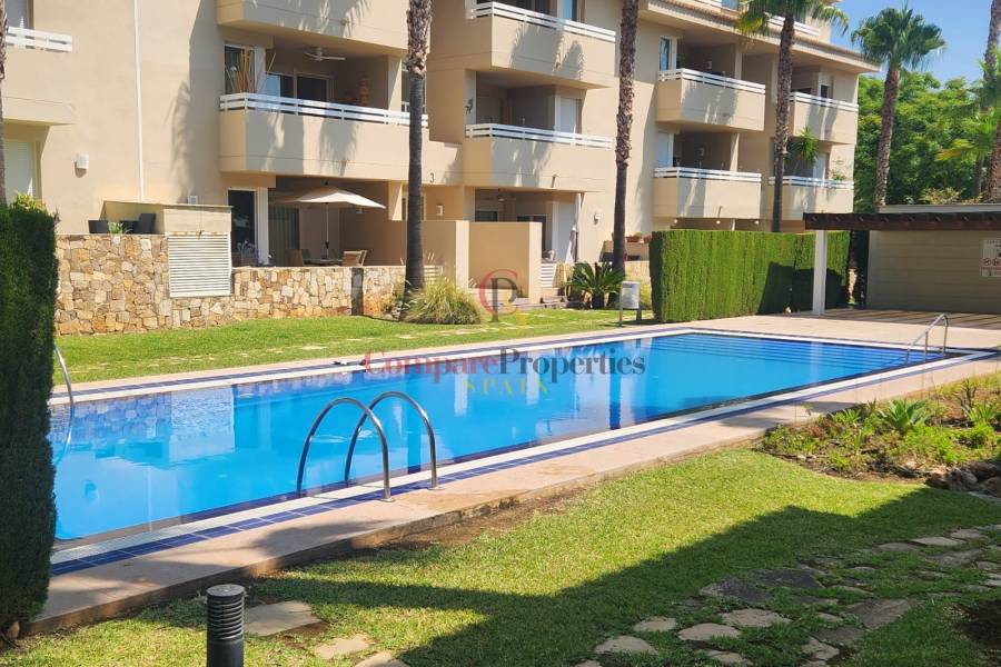 Sale - Apartment - Pego - Casco urbano