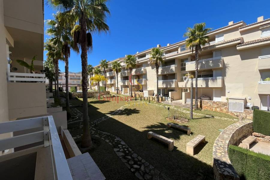 Sale - Apartment - Pego - Casco urbano