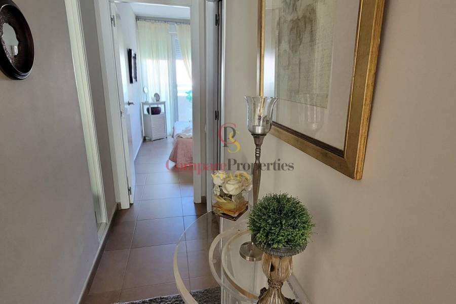 Sale - Apartment - Pego - Casco urbano