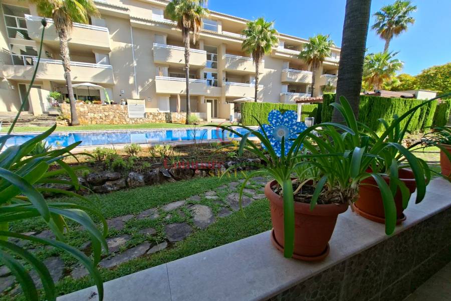 Sale - Apartment - Pego - Centro urbano